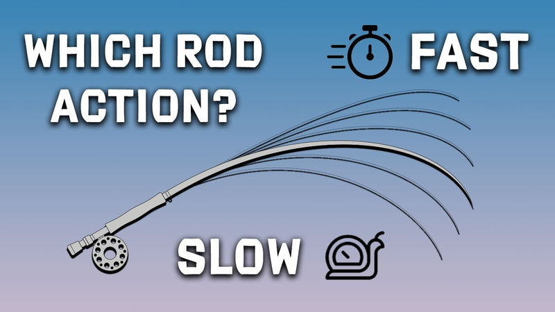 Which Fly Rod Action Is Best?