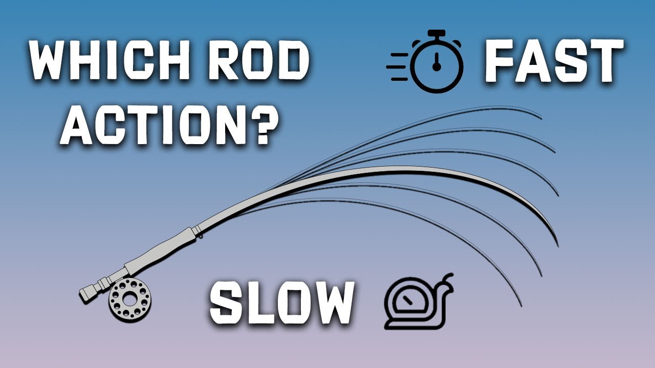 Which Fly Rod Action Is Best?