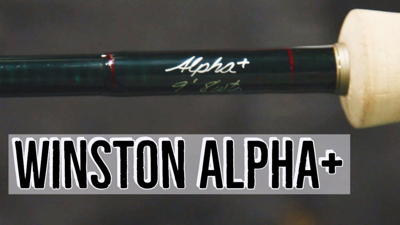 Winston Alpha+ Fly Rod Review