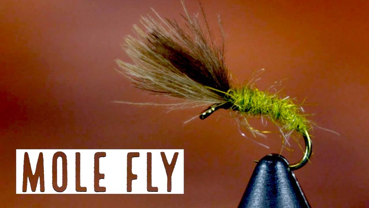 How to Tie a Mole Fly