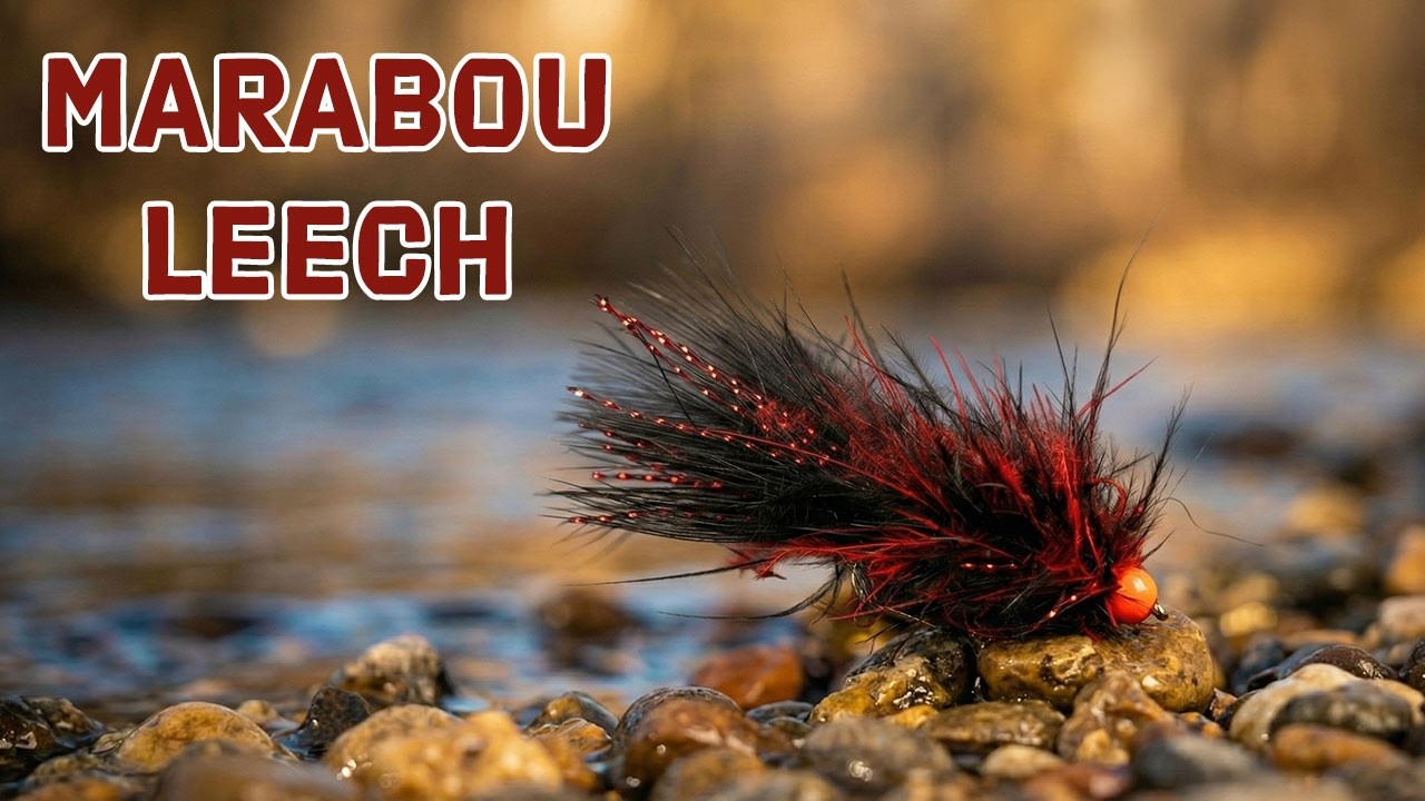 How to Tie a Marabou Leech: Complete Stillwater Pattern Guide