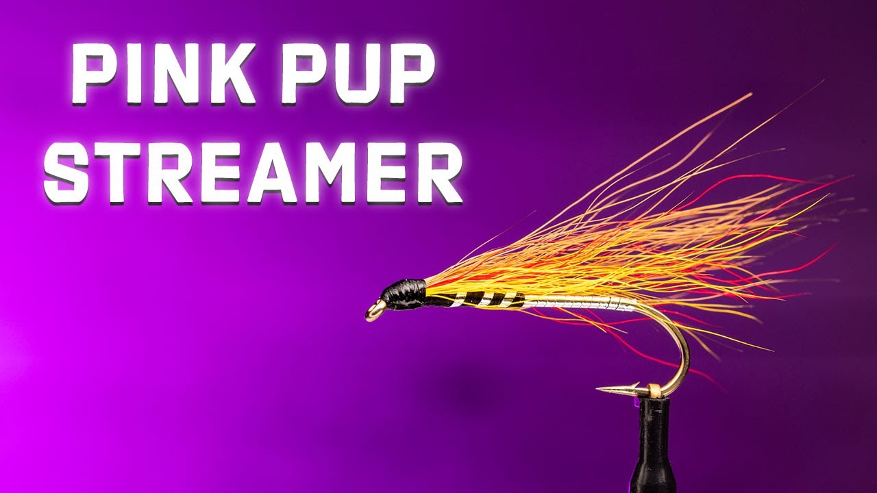 How To Tie the Pink Pup Streamer Fly