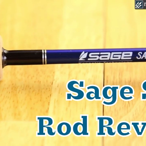 salt_600x600_crop_center.jpg?v