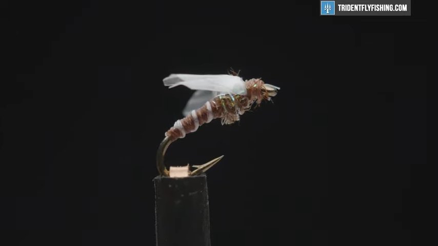 How to Tie the Medallion Midge Fly Pattern