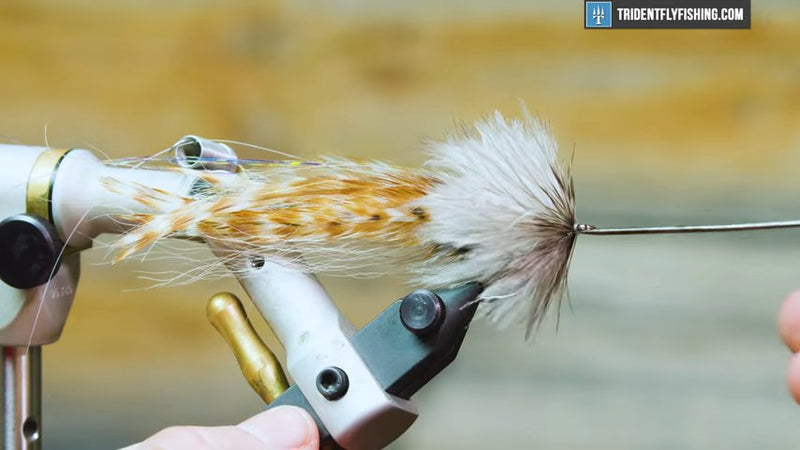 Semper Fly Rods How to Tie the Semper Fleye Pattern | Trident Fly Fishing