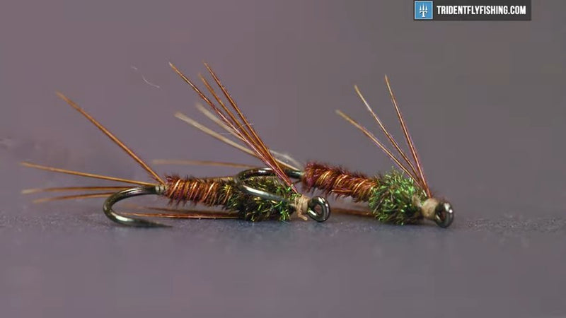 How to Tie the Pheasant Tail Fly