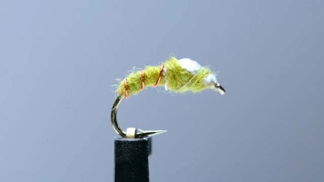 How to Tie the Jailbird Fly Pattern