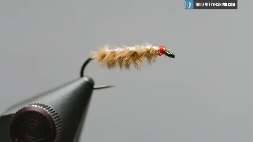 How To Tie The Ray Charles Fly