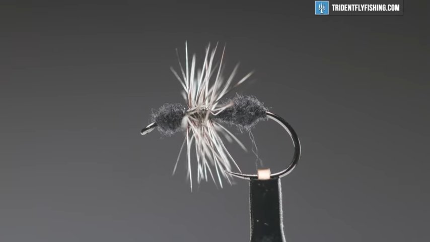 How to Tie the Fur Ant Fly Pattern