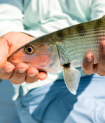 Bonefish Flies
