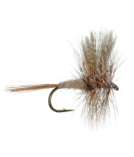 Dry Flies and Spinners