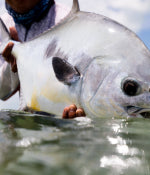 Permit Flies