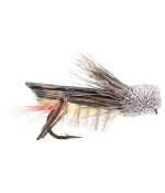 Terrestrial Flies