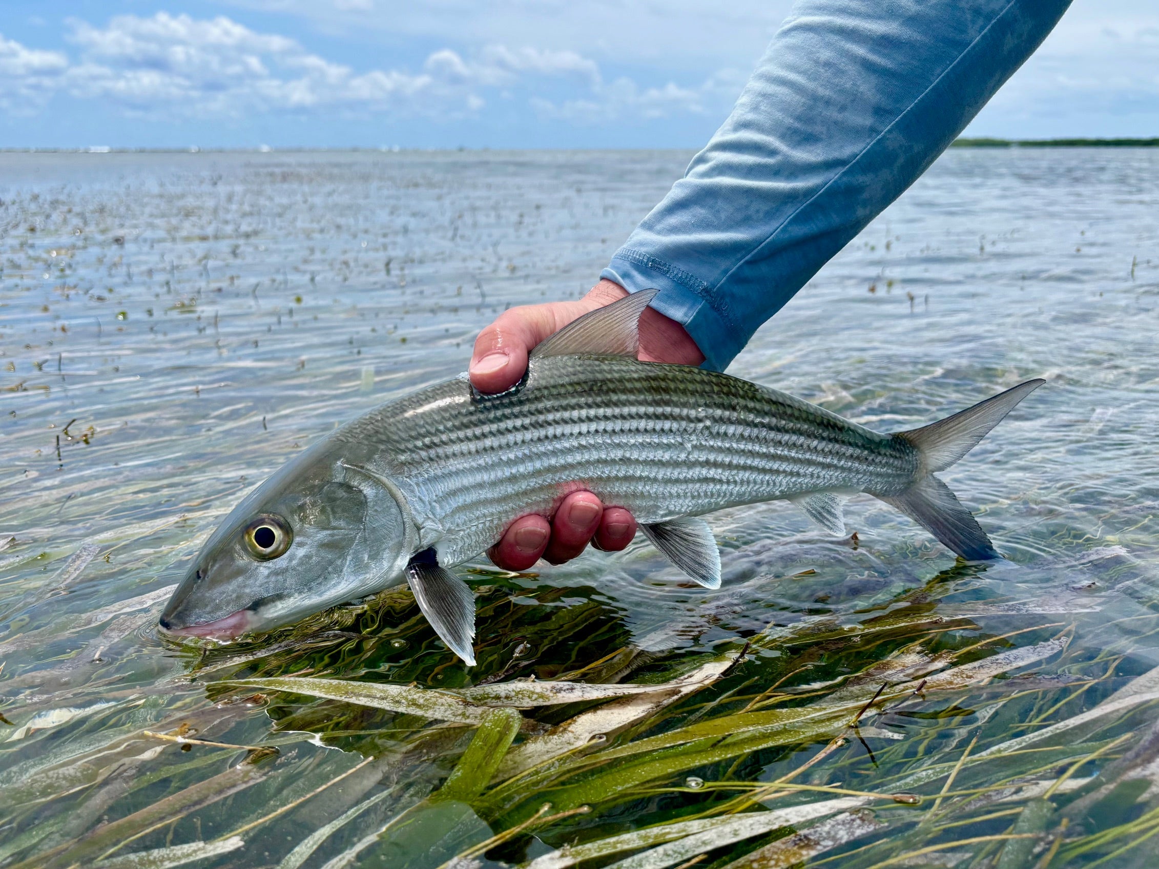 Hosted Fly Fishing Trips