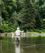 Spey & Switch Fly Rods