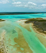Bahamas Fly Fishing Lodges