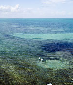 Mexico Fly Fishing Lodges