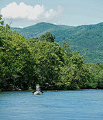 North Carolina Travel
