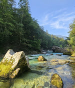 Slovenia Travel
