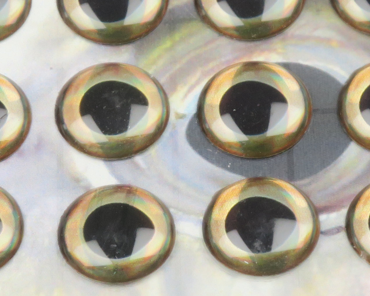 Iridescent gold-green domed Fish-Skull living eyes with black pupils on pearlescent sheet for fly tying