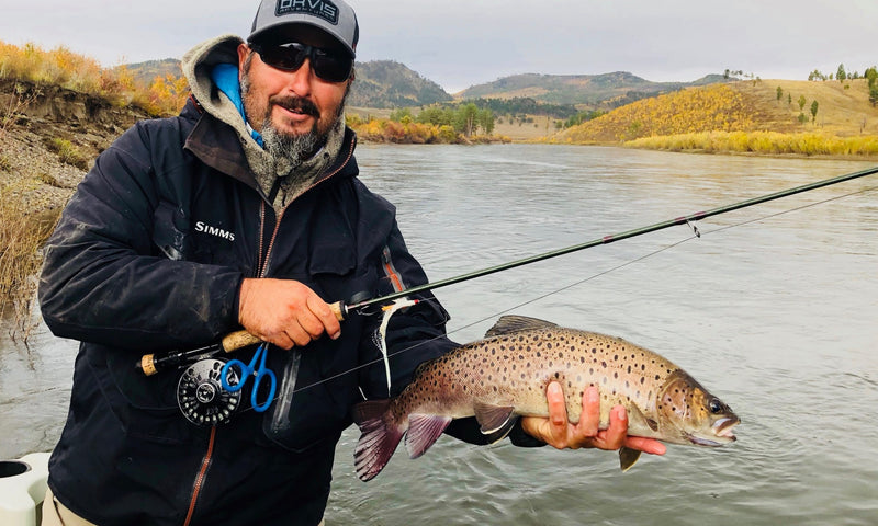 Amur Trout