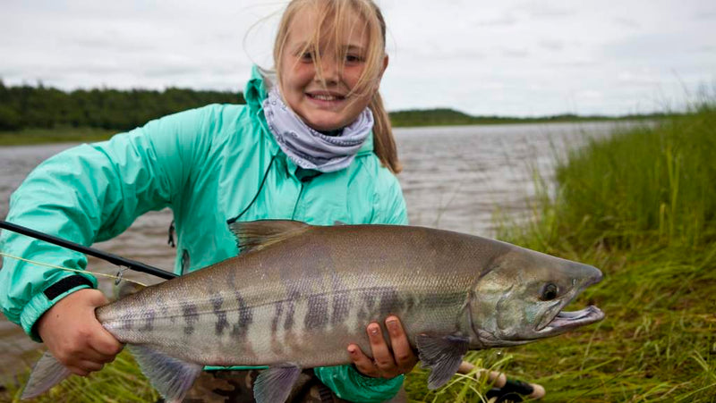 Chum Salmon