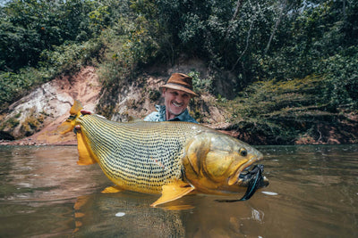 Golden Dorado