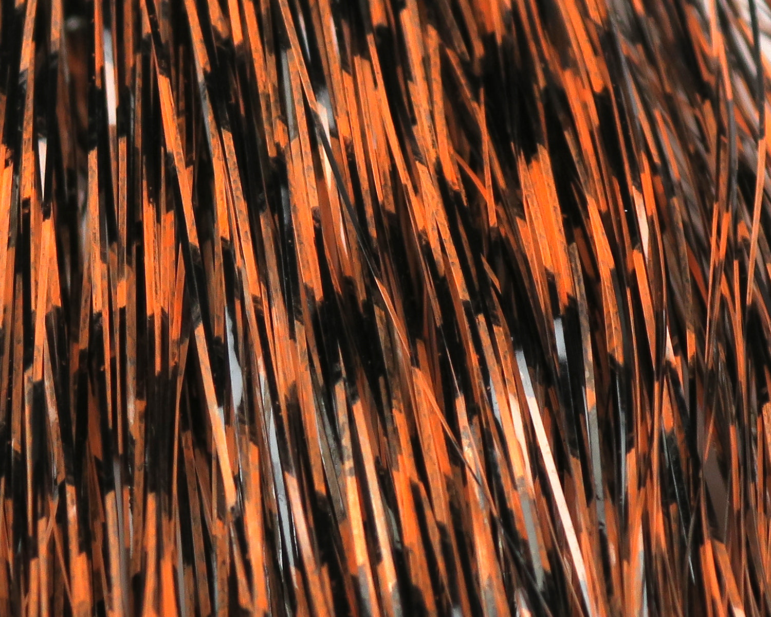 Hedron Grizzly-Barred Flashabou