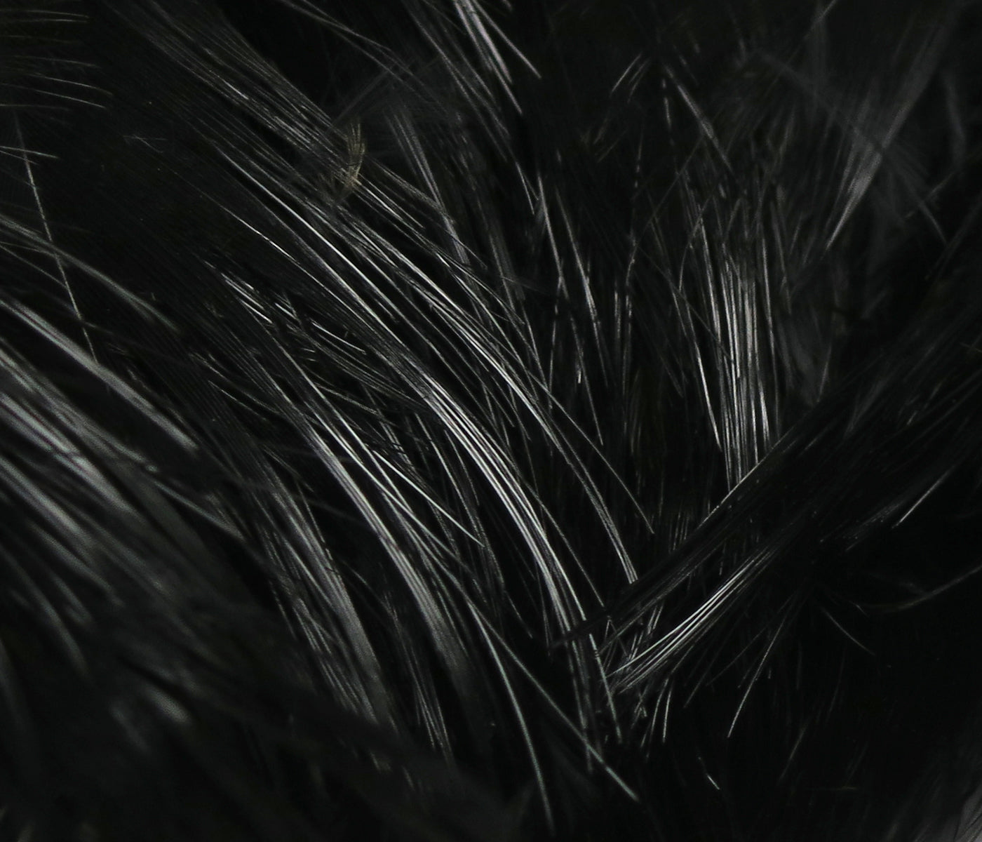 Hareline Golden Pheasant Body Feathers