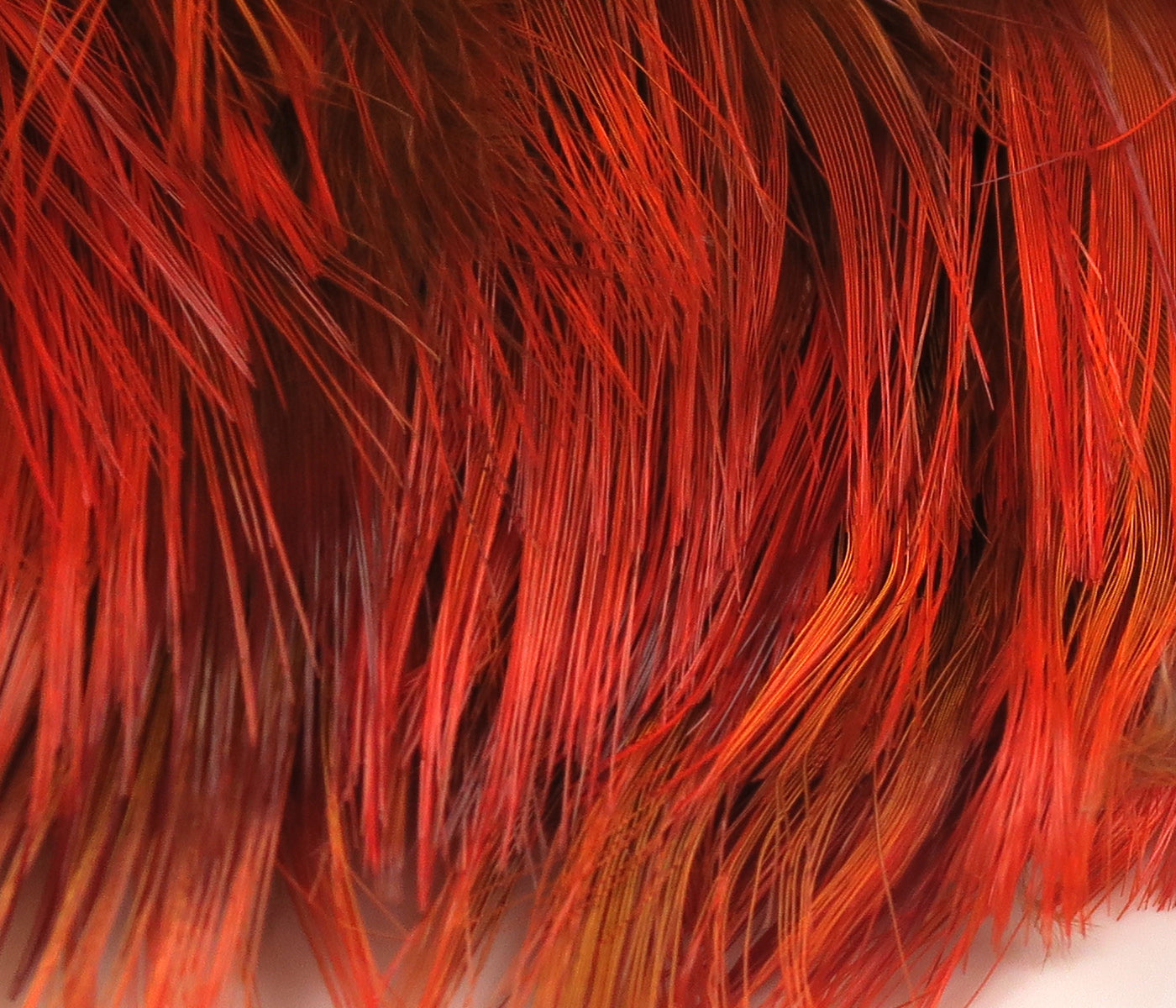 Hareline Golden Pheasant Body Feathers