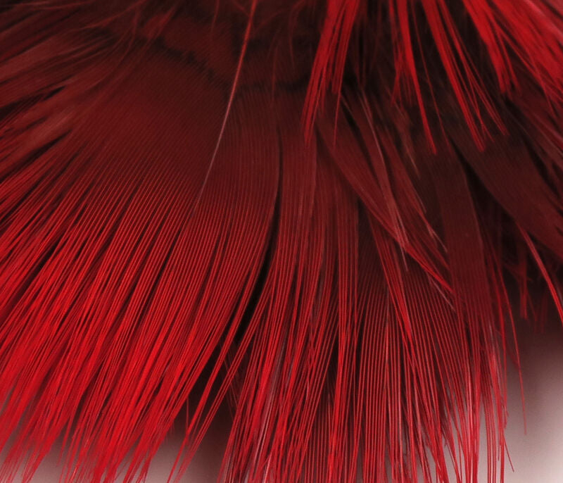 Hareline Golden Pheasant Body Feathers