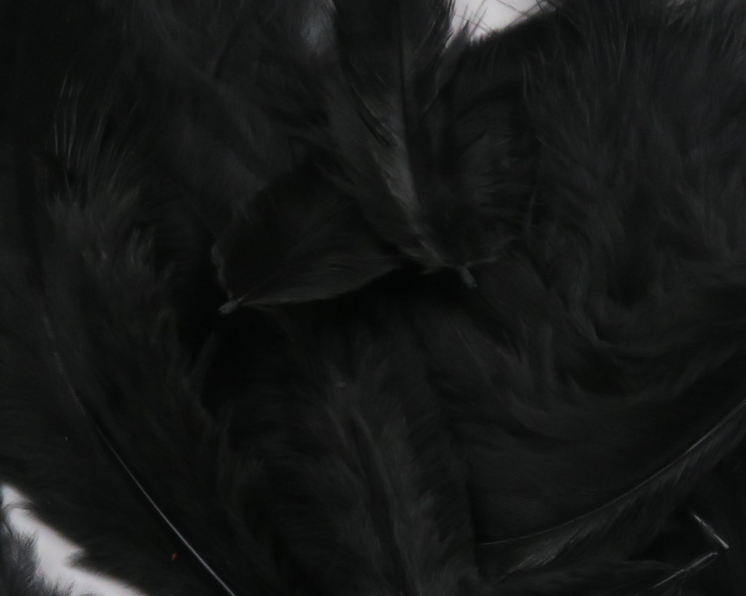 Hareline Grizzly Soft Hackle