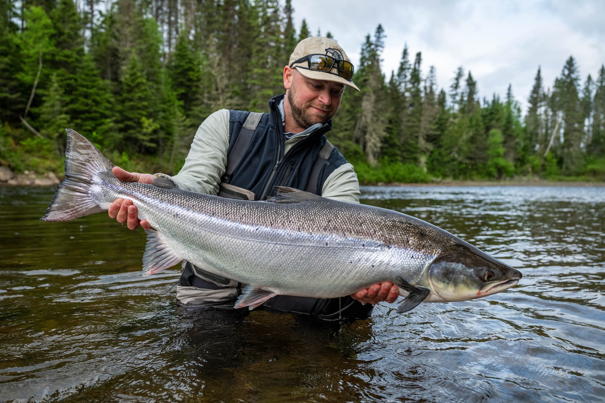 Angler in tan cap and dark vest holding large silver salmon in a shallow river on a Gaspe coastal fishing trip