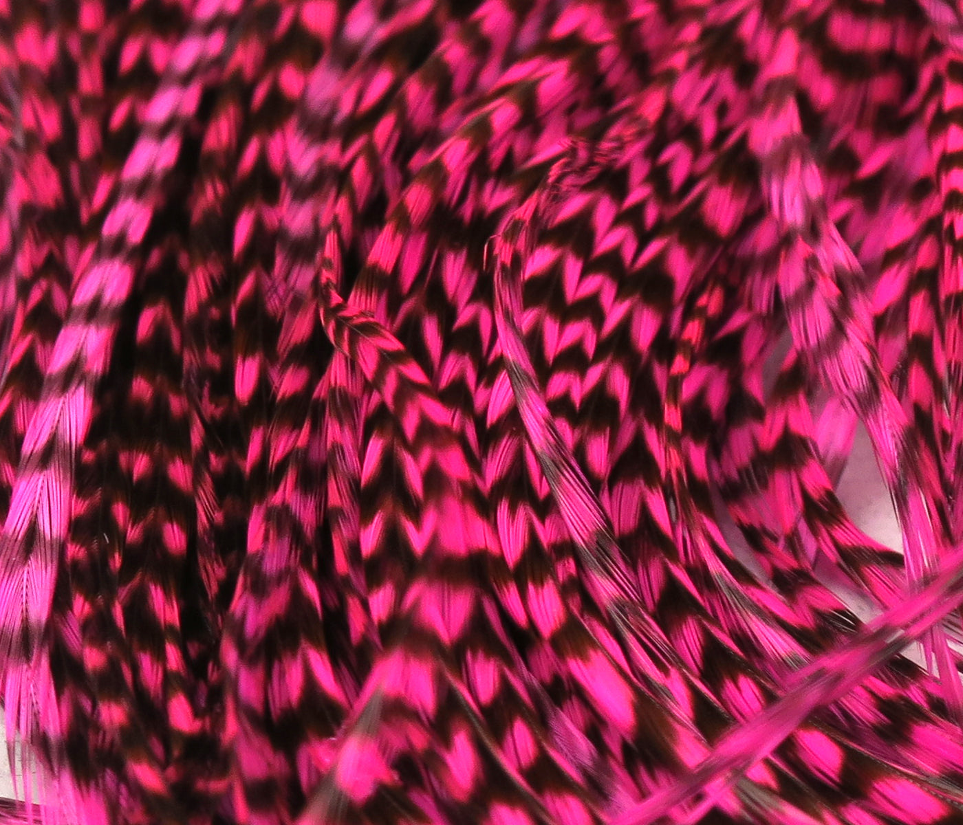 Hareline grizzly half saddle hot pink and black barred saddle feathers for fly tying