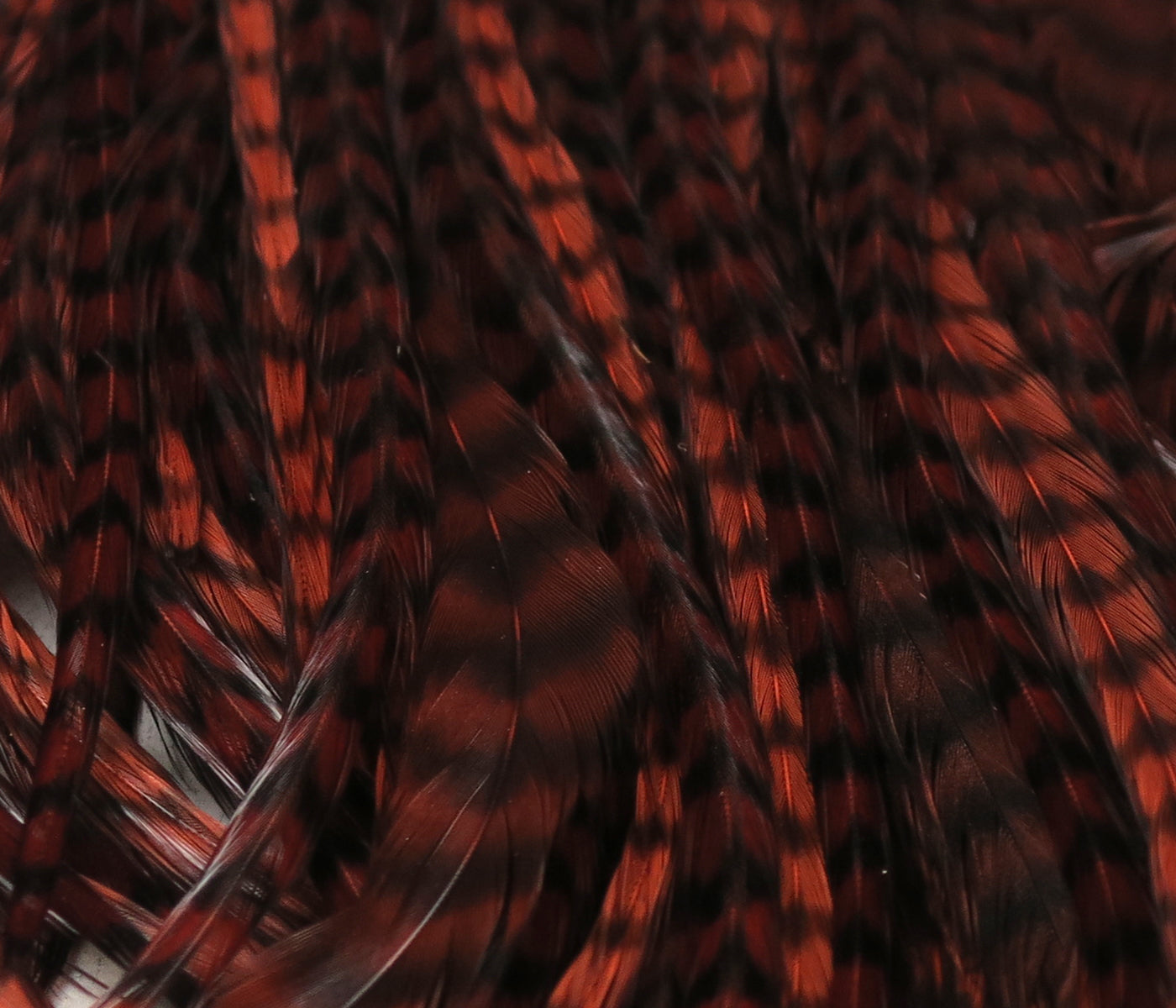 Hareline grizzly half saddle glossy reddish-brown and black barred rooster feathers for fly tying