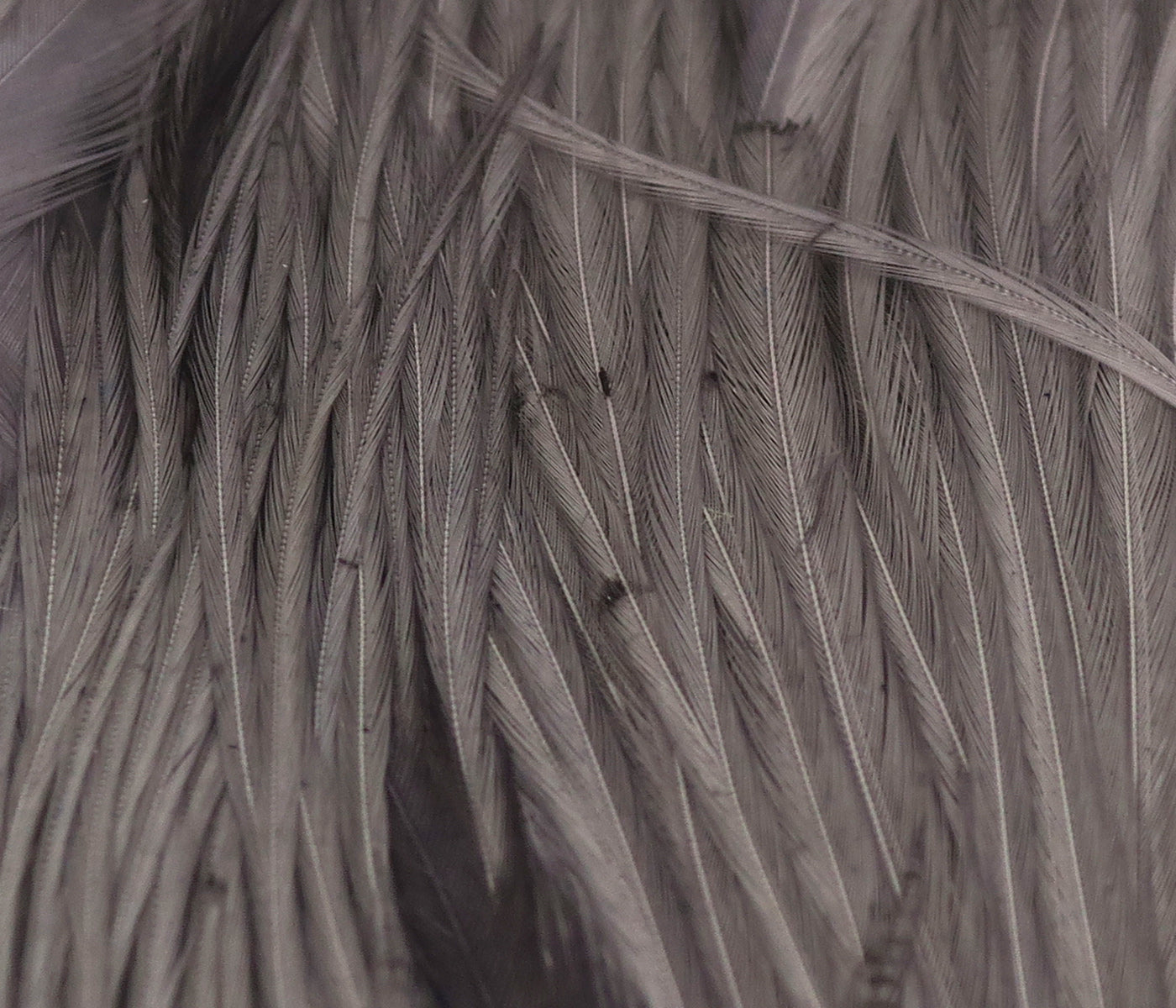 Hareline Half Rooster Capes