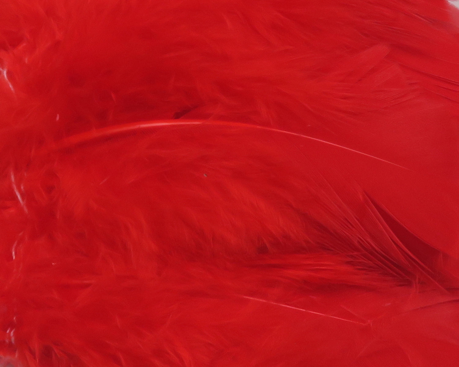 Hareline Intruder Prop Feathers