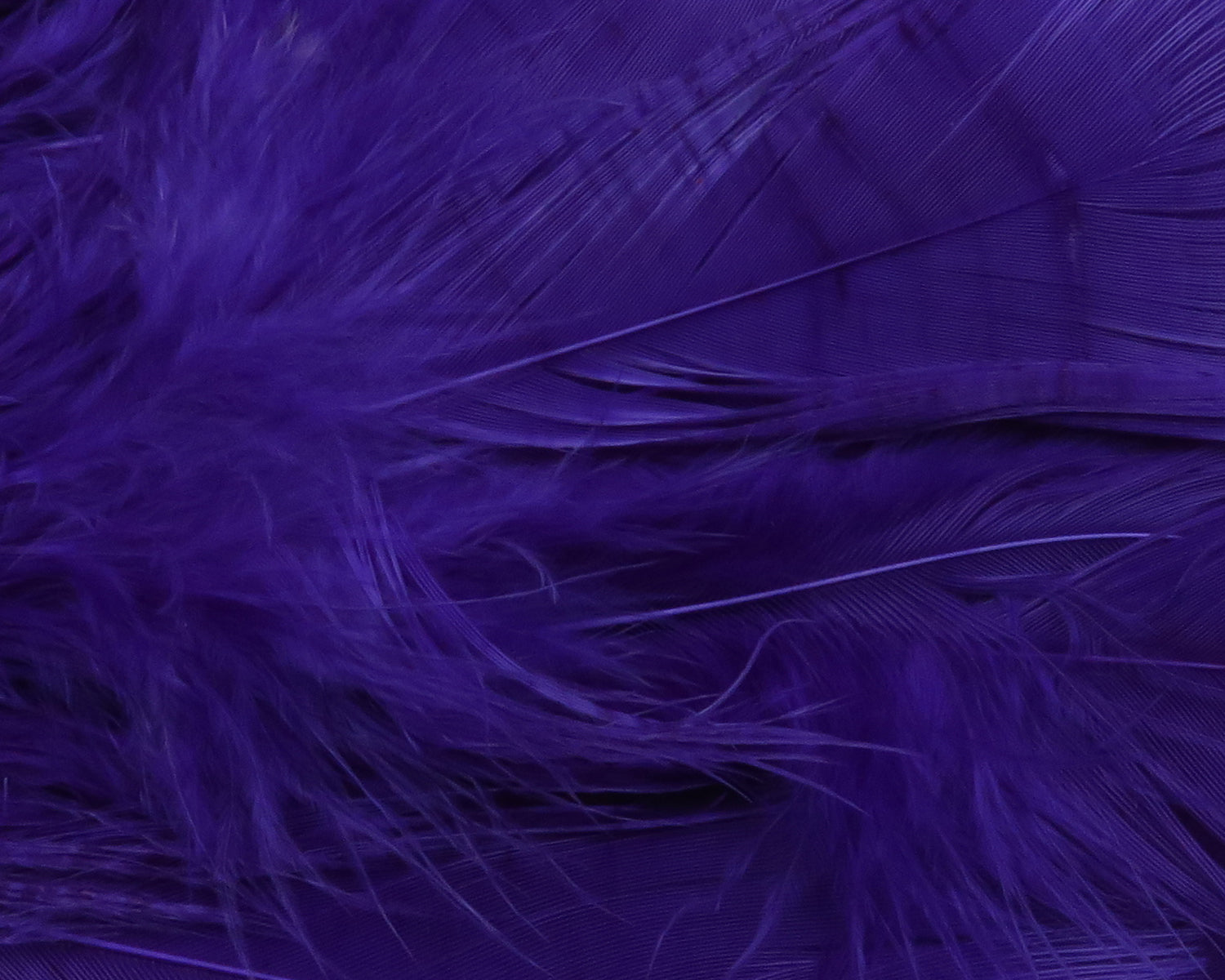 Hareline Intruder Prop Feathers