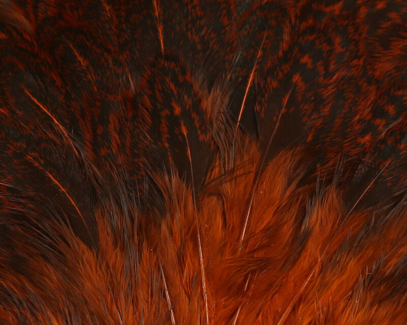 Hareline India Hen Back
