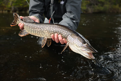 Copper River Lodge