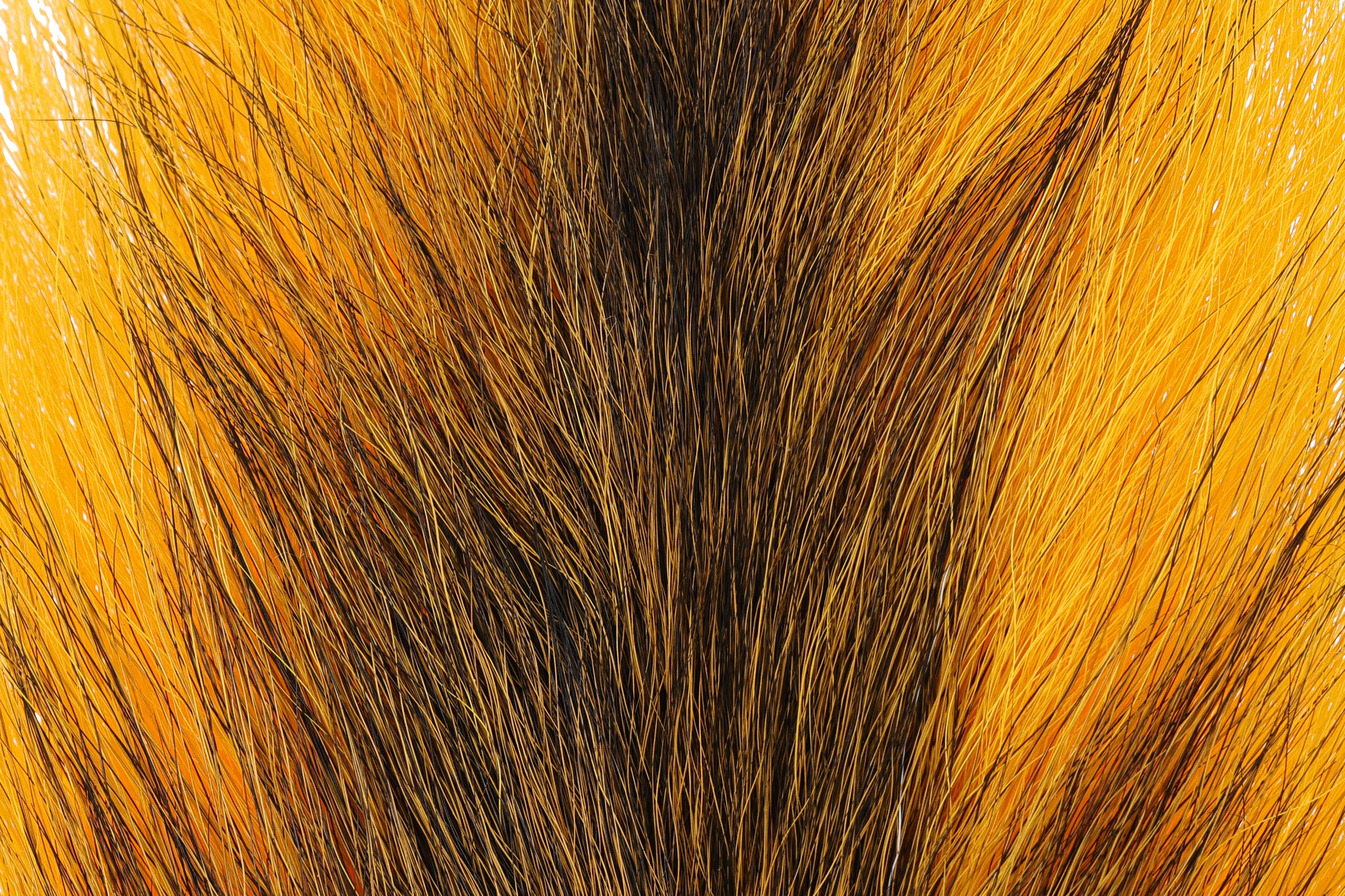 Hareline Large Northern Bucktail
