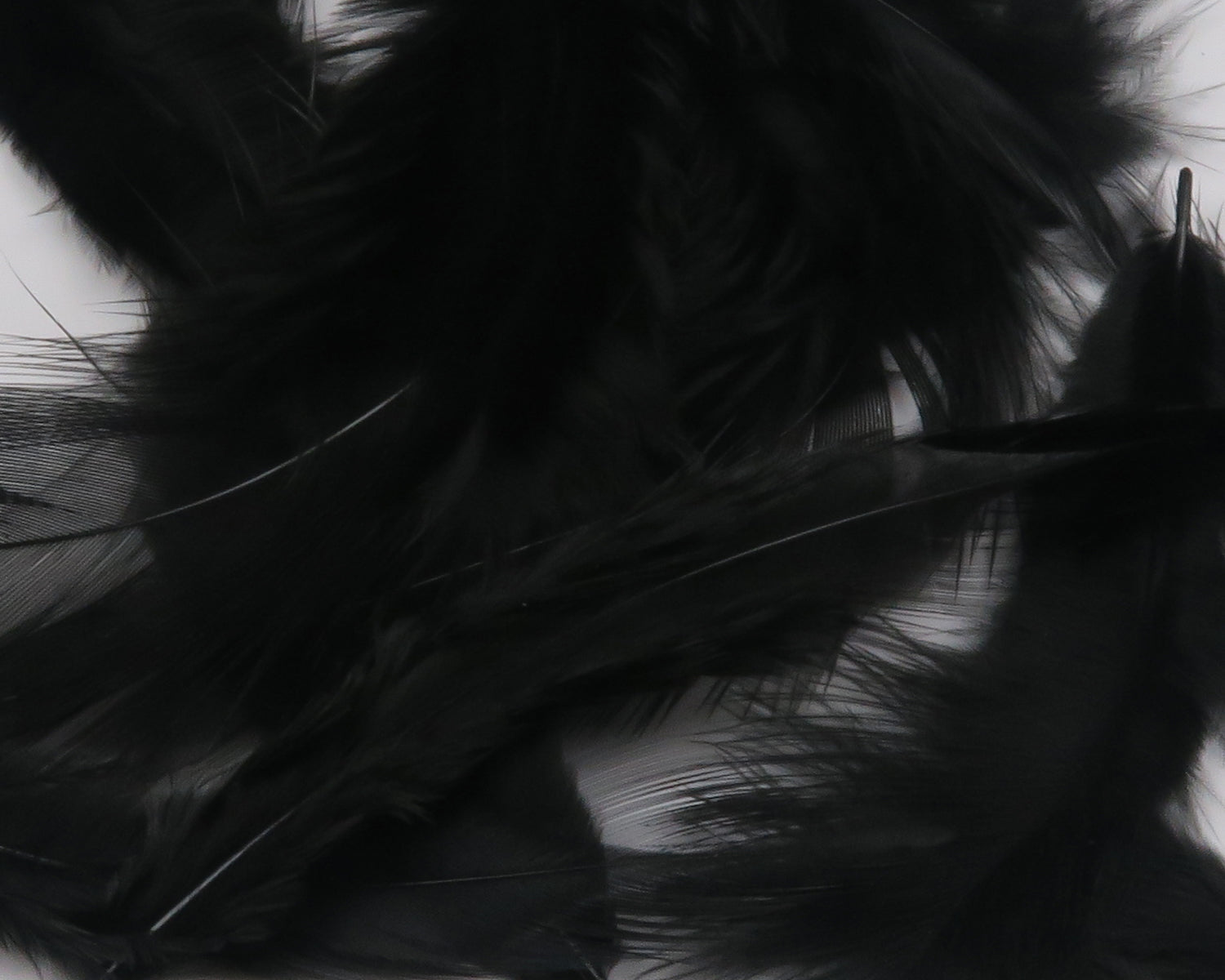 Hareline Soft Hackle Feathers