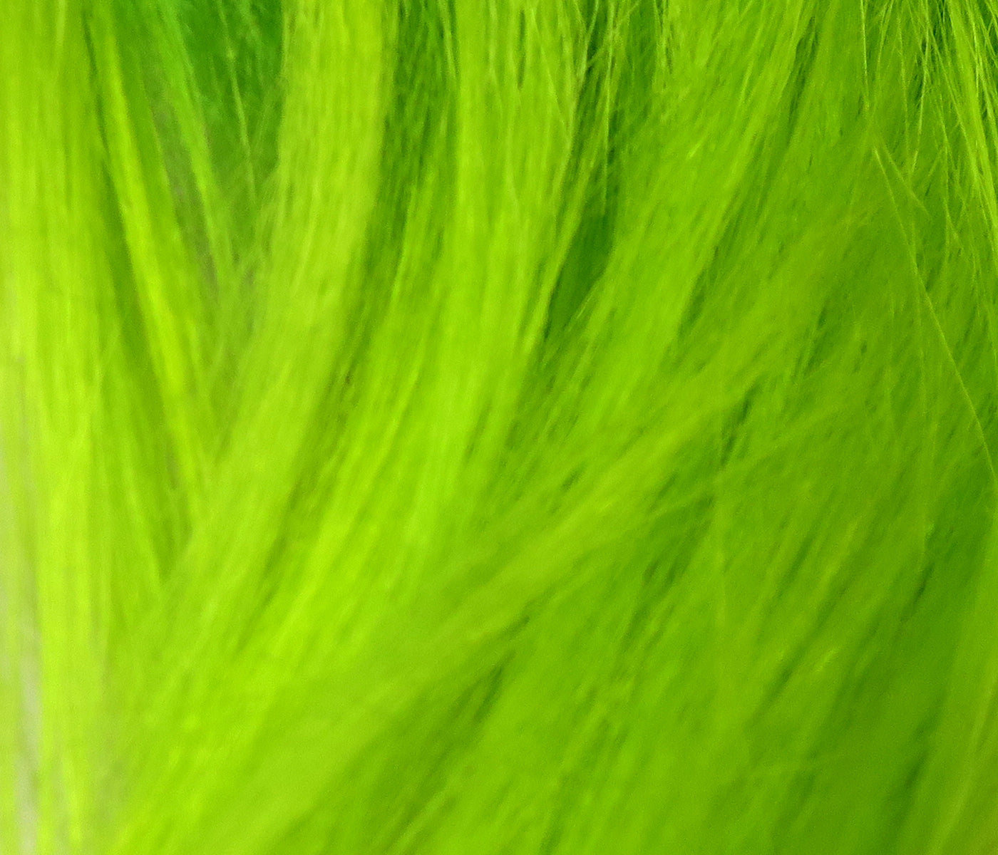 Hareline Polar Goat Hair