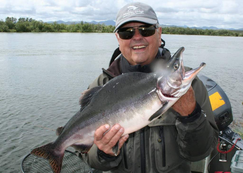 Pink Salmon