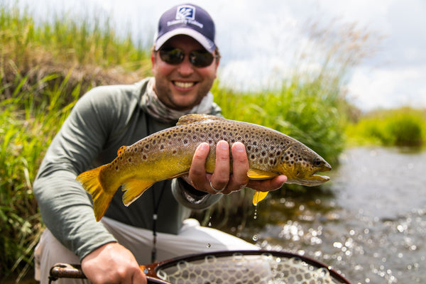 Fly fisherman holding brown trout with yellow fins in river stream during Silver Bow Club fishing trip