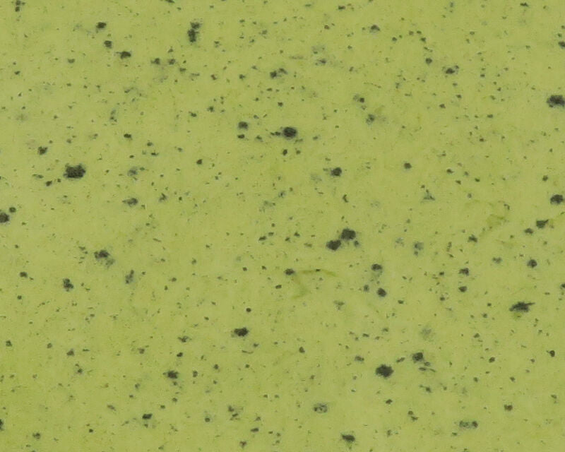 River Road Speckled Wing
