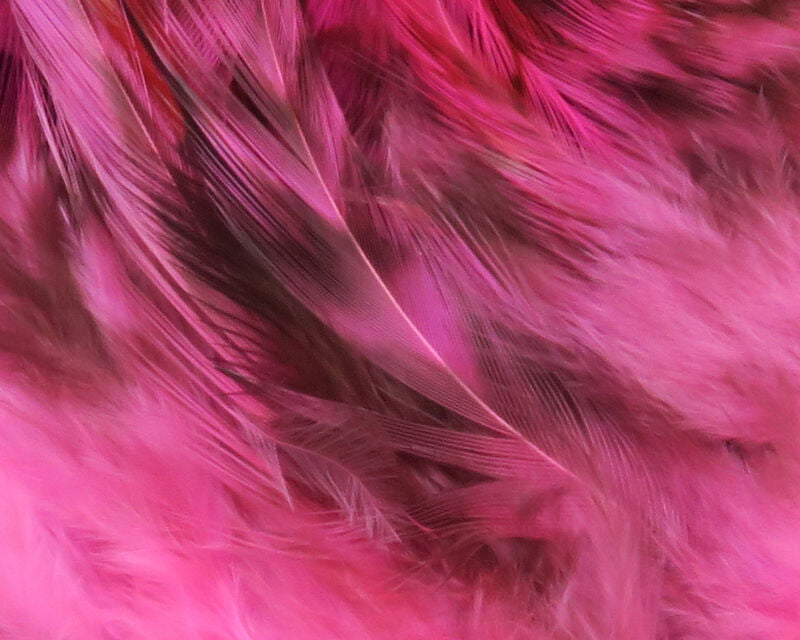 Hareline Strung Grizzly Variant Saddle Hackle