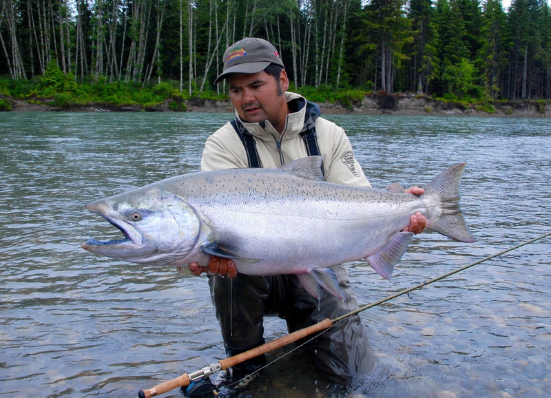 King Salmon