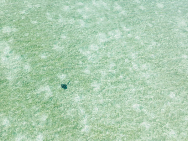 Mint-green shallow lagoon with soft white ripples and a lone dark patch near center — Soul Fly Lodge travel trip