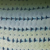 striper sm7h6